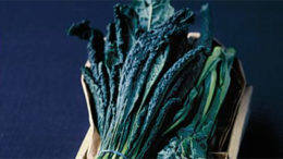 Cavolo nero