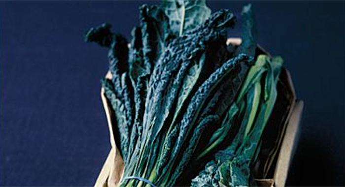 Cavolo nero