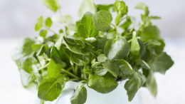 Watercress