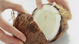 Coconut