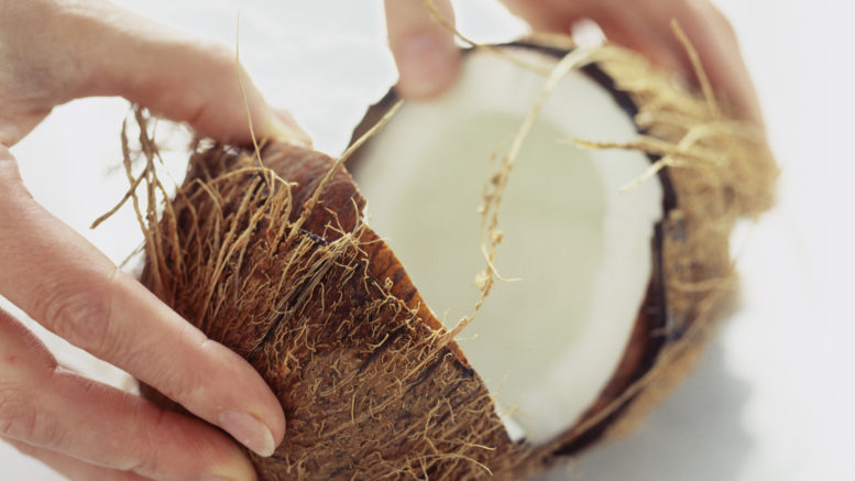 Coconut