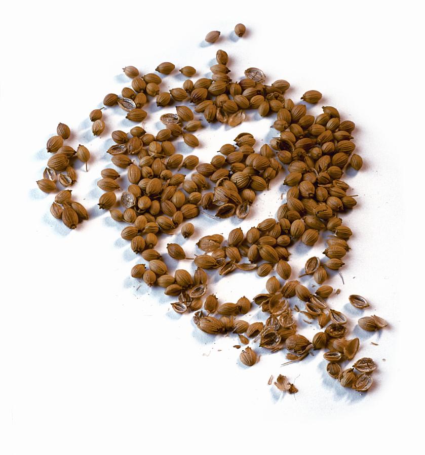 Coriander seed