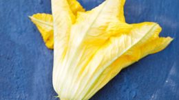 Courgette flower