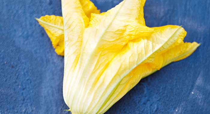 Courgette flower