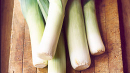 Leek