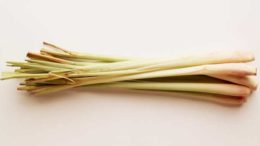 Lemon grass