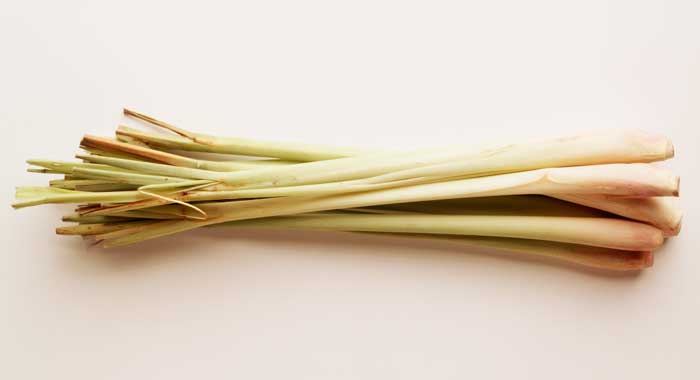 Lemon grass