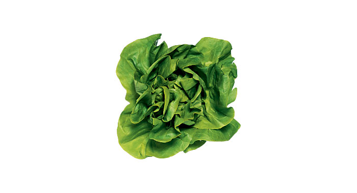 Lettuce