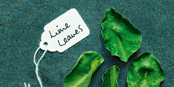 Lime leaf