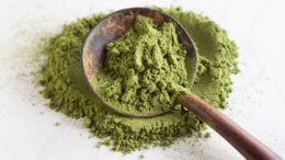 Moringa