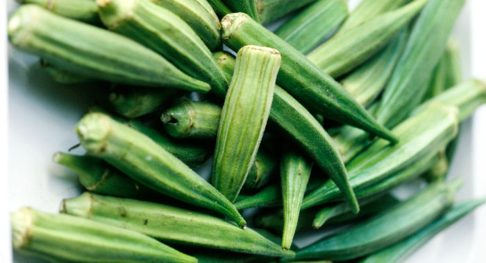 Okra