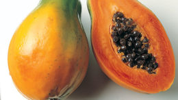 Papaya