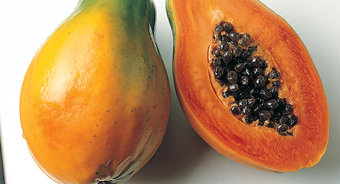 Papaya