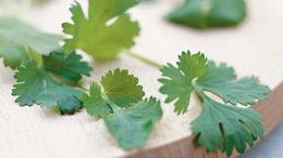 Parsley