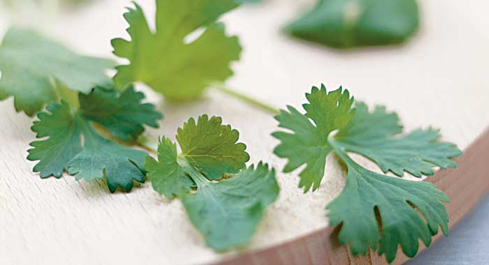 Parsley