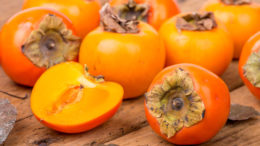 Persimmon