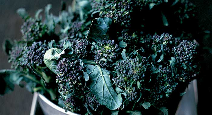 Purple sprouting broccoli