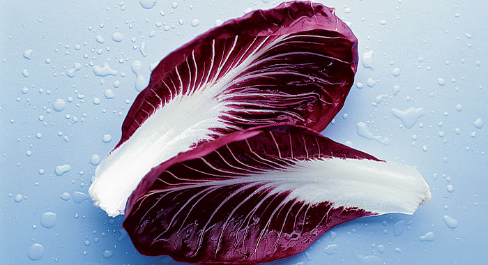 Radicchio